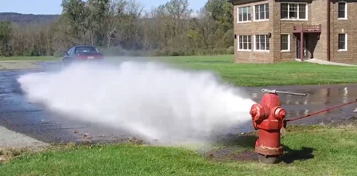 Flushing of the Water Distribution System