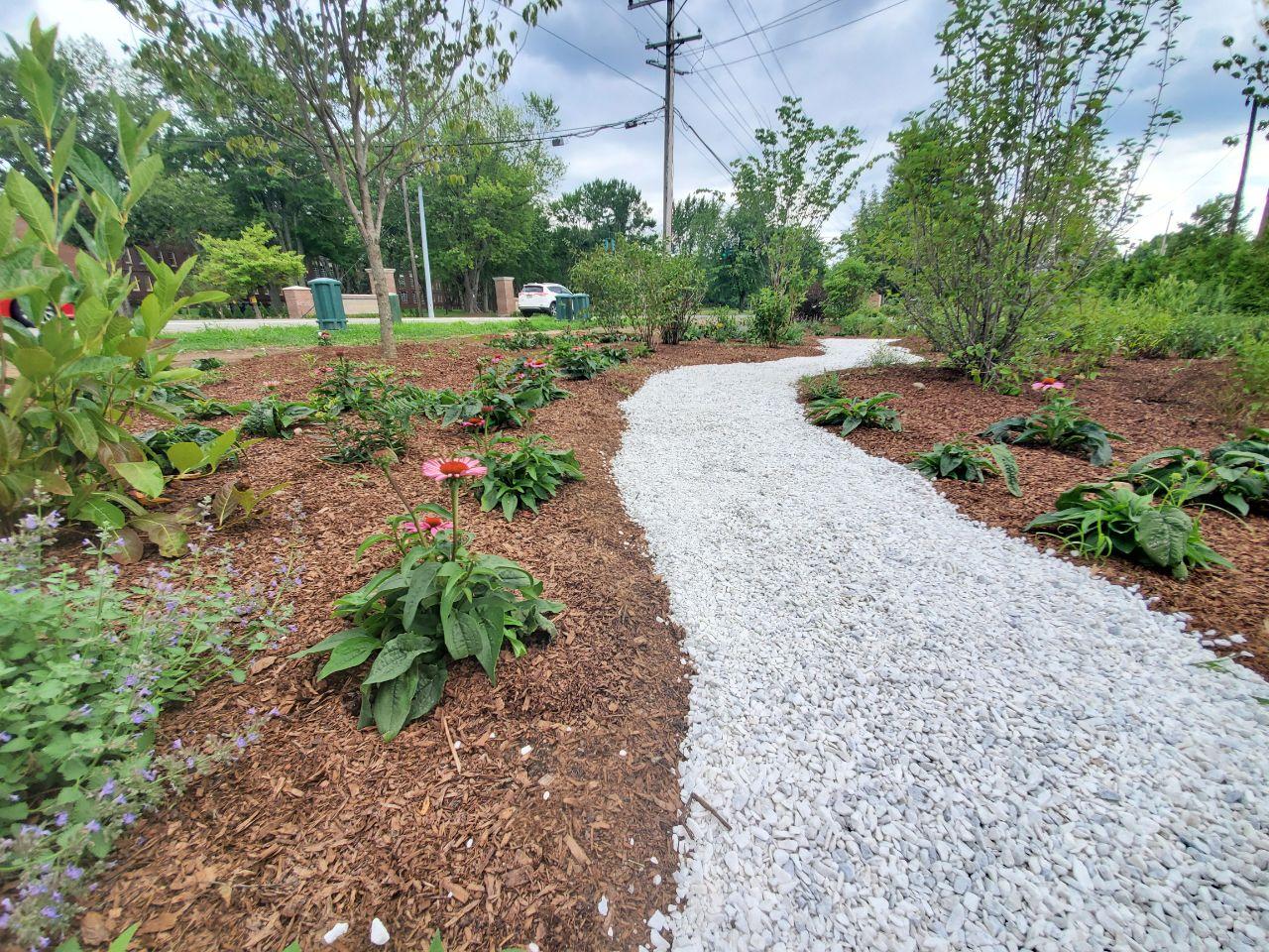 butterfly-garden-at-ou-dover (3)