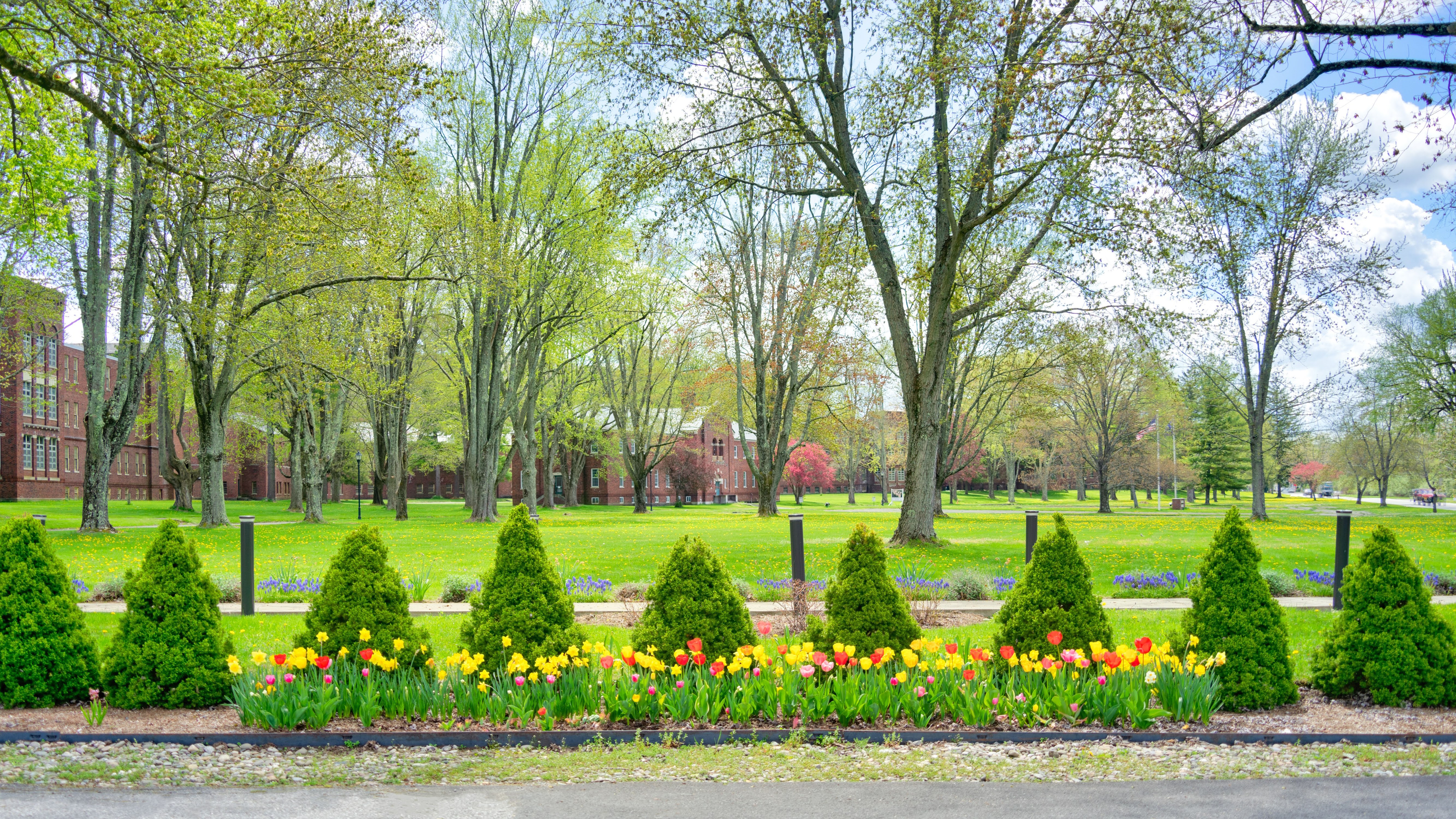 3 2024-05-04 WEC Flower Trees3