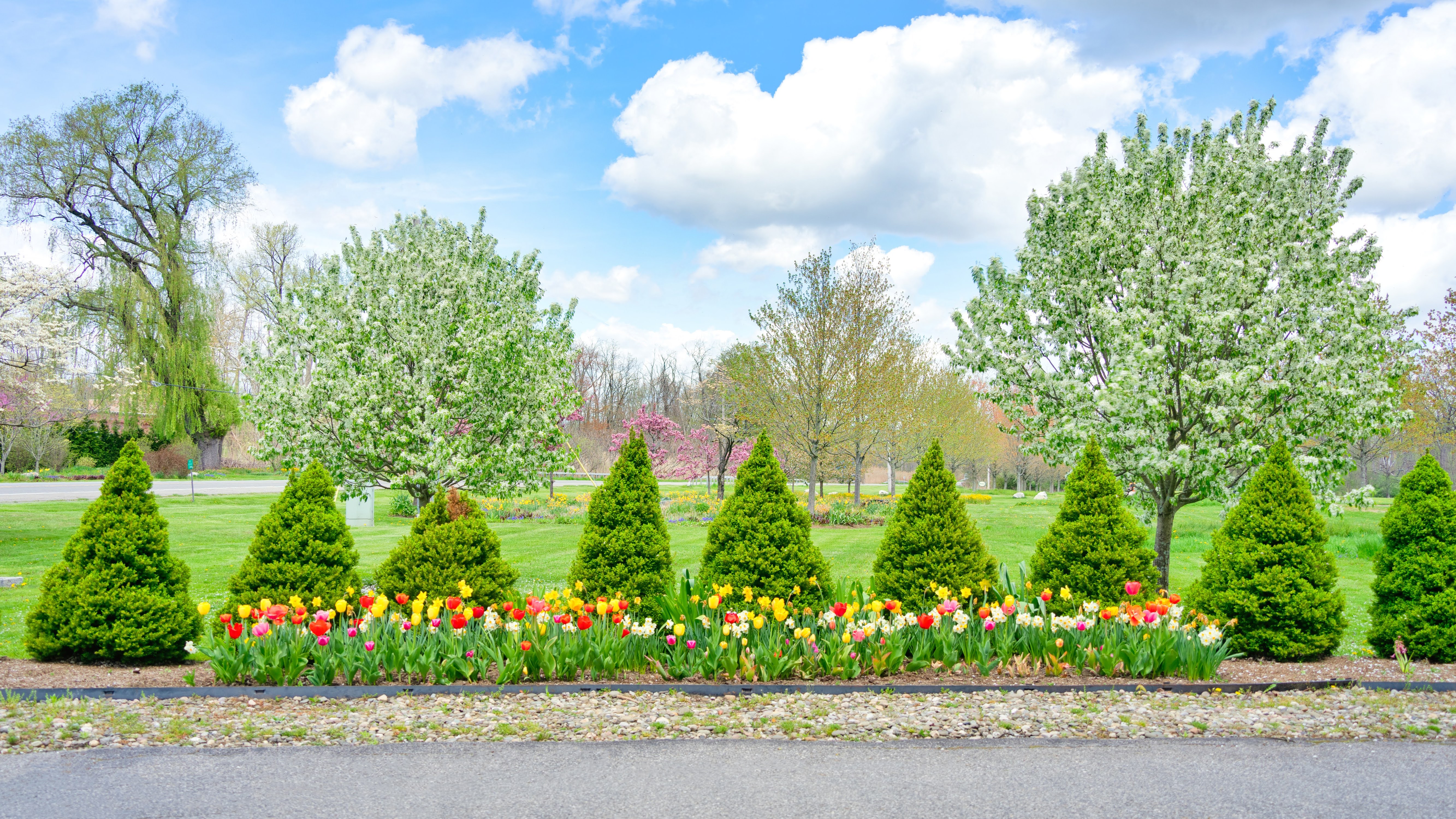 4 2024-05-04 WEC Flower Trees4